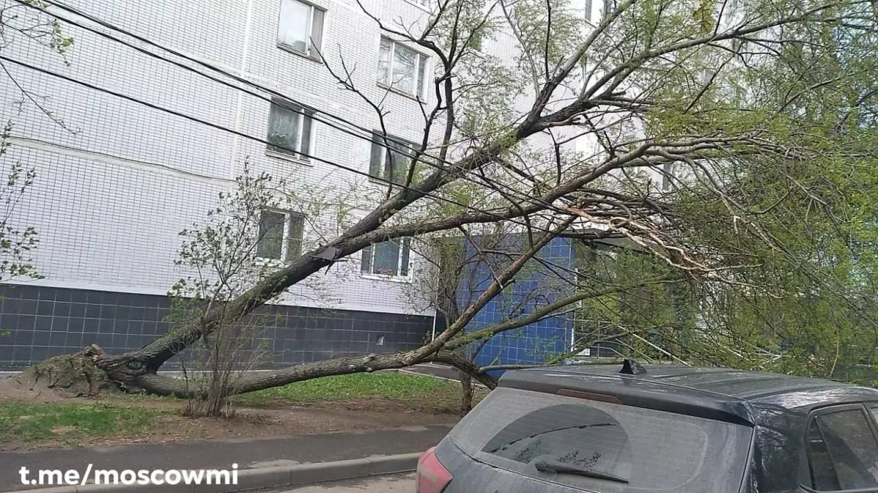19 апреля на Москву обрушился шторм