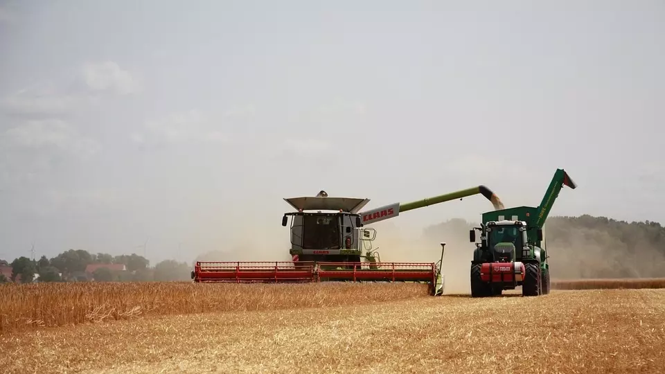 Латвия покупает у РФ зерно с дисконтом